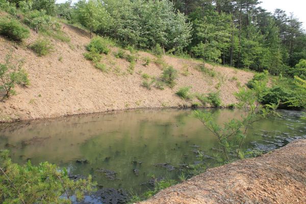 Pond Erosion Repair in O Fallon
